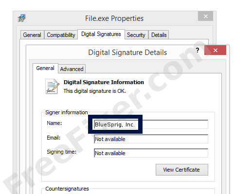 Screenshot of the BlueSprig, Inc. certificate